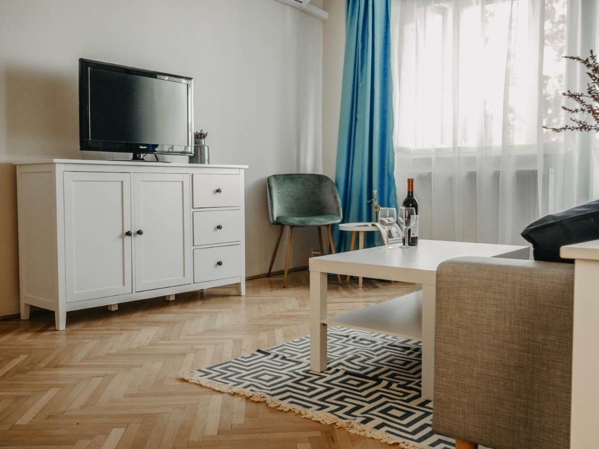 Business And Travel Central Apartment Timişoara Extérieur photo