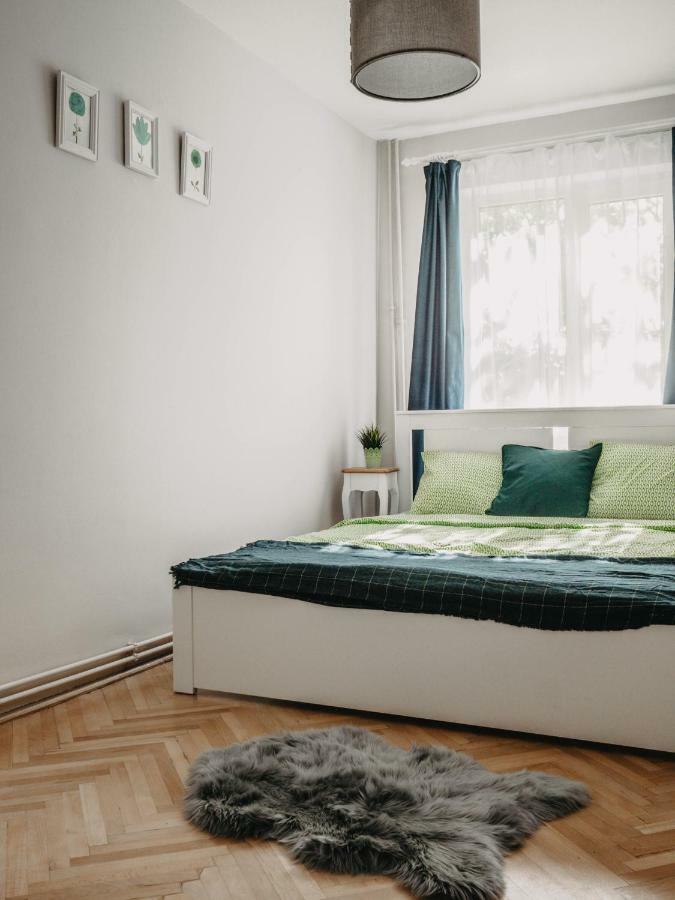 Business And Travel Central Apartment Timişoara Extérieur photo